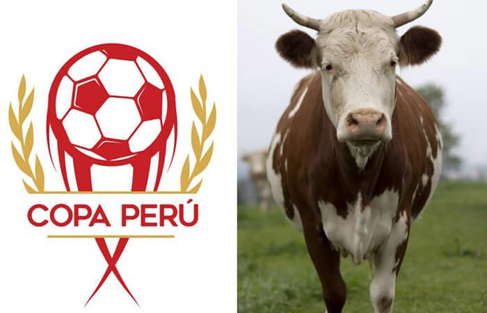 Copa Perú: diez casos insólitos ocurridos en el torneo