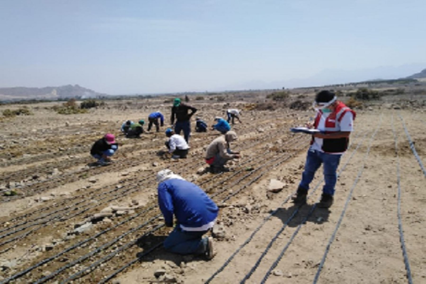 Sunafil atiende más de 1,200 denuncias en La Libertad durante emergencia sanitaria