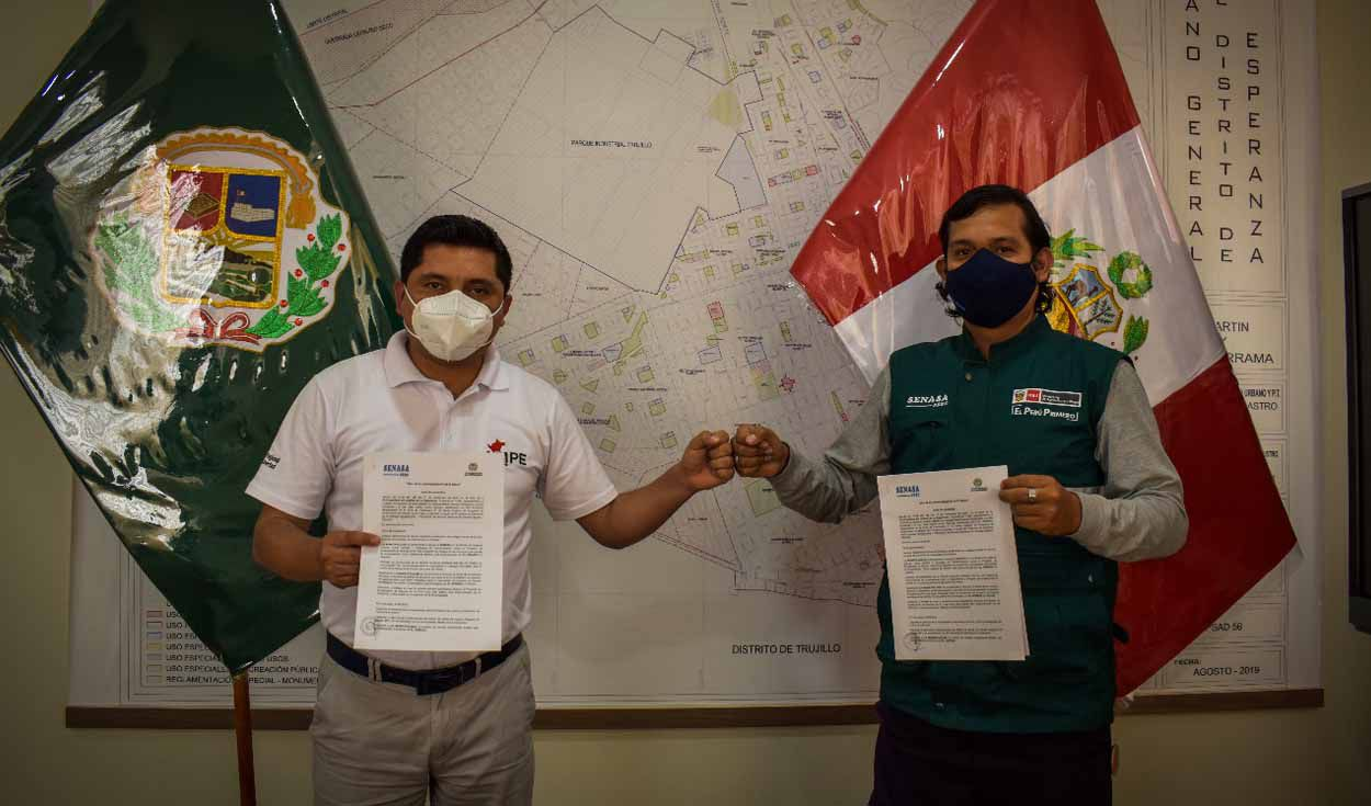 La Libertad: gobiernos locales se unen para erradicar moscas de la fruta