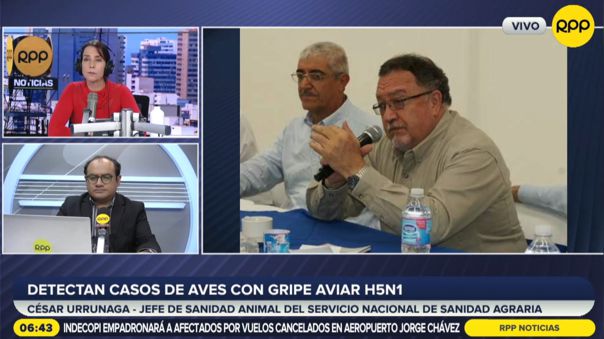 Senasa: Por el momento solo las aves silvestres están afectadas con influencia aviar