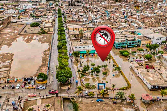 Existe peligro de dengue en la ciudad de Pacasmayo tras intensas lluvias
