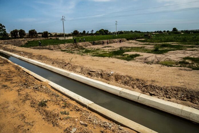 Pacasmayo: construyen canales de riego para mejorar la agricultura en Jequetepeque