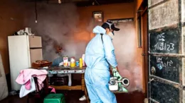 Más de 73 mil viviendas pasaron por control larvario frente al dengue Más de 73 mil viviendas pasaron por control larvario frente al dengue