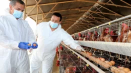 Guillain-Barré: ¿qué bacteria podría haber causado aumento de casos en La Libertad?