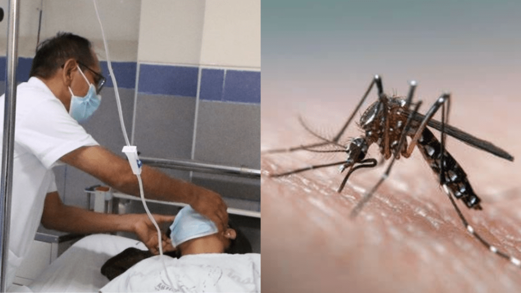 La Libertad: Aumenta a 20 la cifra de fallecidos por dengue en la región