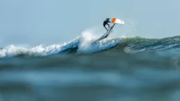 [Pacasmayo Classic 2023] Se completó la Ronda 1 para hombres!