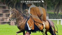 Caballos de paso brillarán en certamen este 26 y 27 de agosto en Piura Caballos de paso brillarán en certamen este 26 y 27 de agosto en Piura