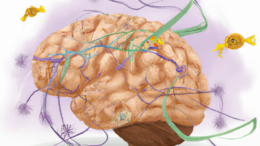 El Día Mundial del Alzheimer: Un llamado a la conciencia y la solidaridad El Día Mundial del Alzheimer: Un llamado a la conciencia y la solidaridad