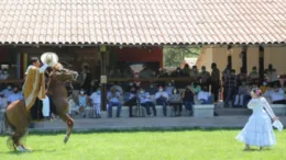 Derrocharán elegancia: 250 caballos peruanos de paso competirán en balneario de Pimentel