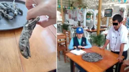 Virú: Restaurante vendía platos a base de Cañán