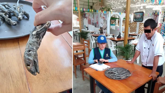 Virú: Restaurante vendía platos a base de Cañán