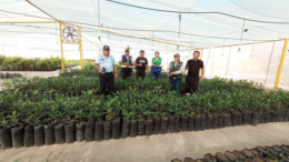 PEJEZA apoya a la Municipalidad de Pacasmayo con plantones PEJEZA apoya a la Municipalidad de Pacasmayo con plantones