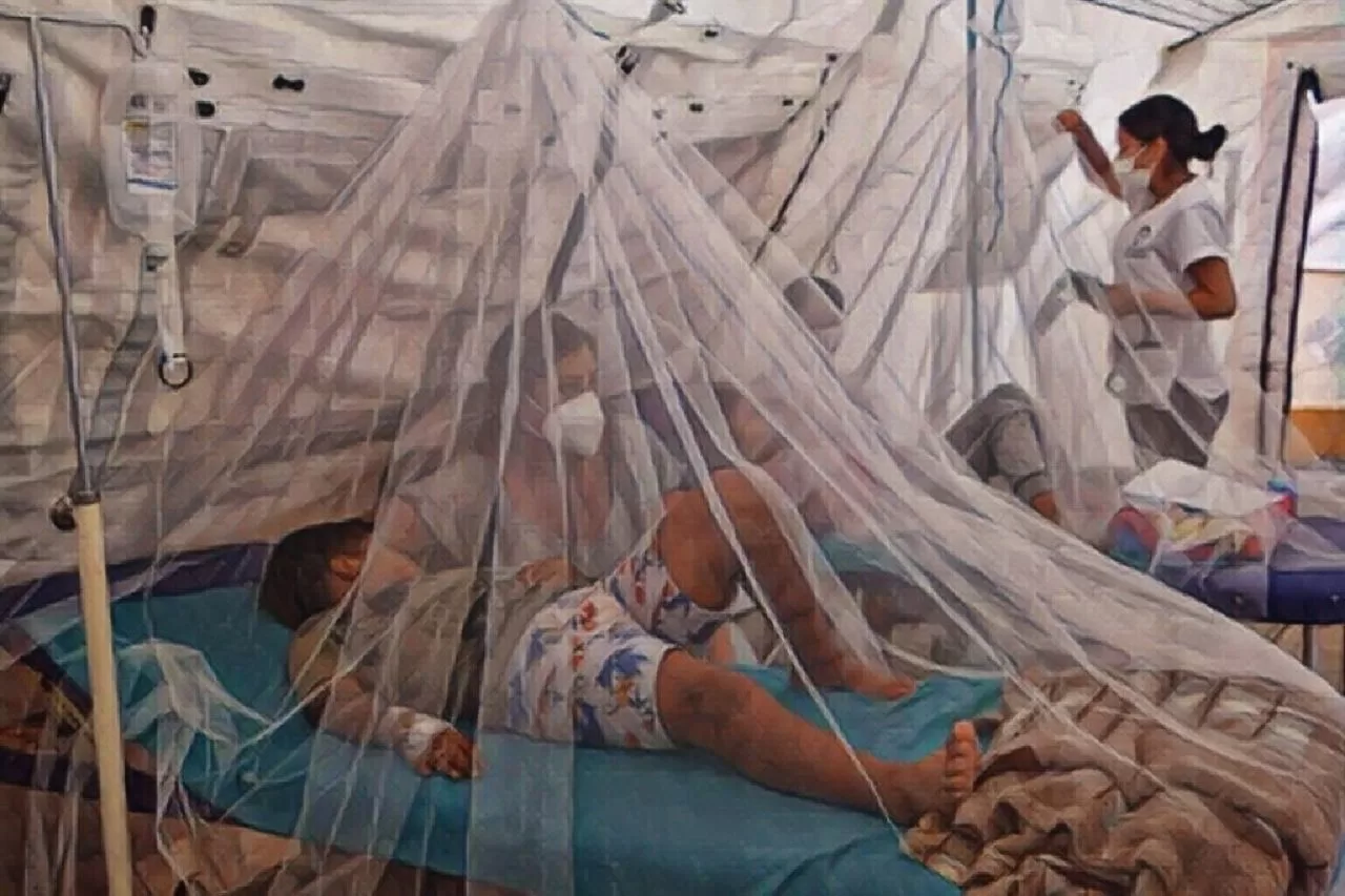 El dengue se dispara: cerca de 300 casos nuevos se detectan a diario en el Perú