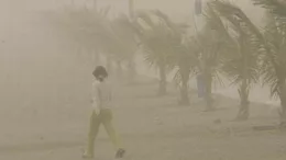 Alerta por vientos fuertes en la Costa: ¡Precaución y medidas de seguridad necesarias! Alerta por vientos fuertes en la Costa: ¡Precaución y medidas de seguridad necesarias!