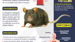 Combatiendo la Leptospirosis en Pacasmayo: Guía de Prevención Vital