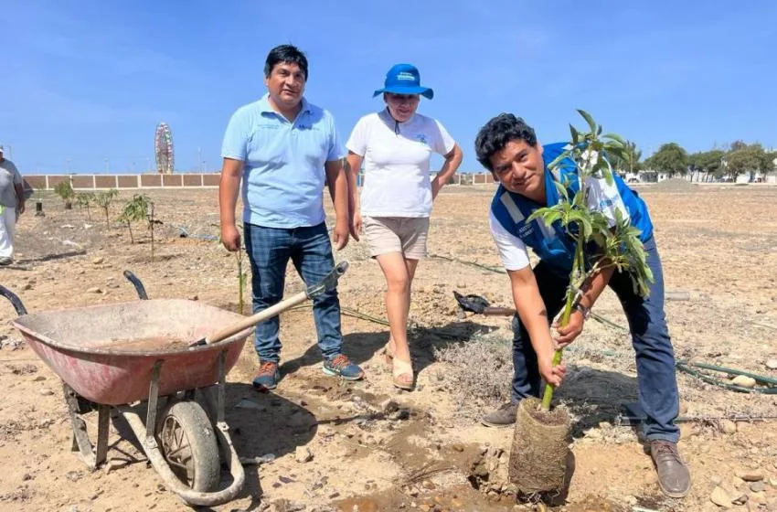 Verde Esperanza: La Campaña de Arborización del Hospital I Pacasmayo