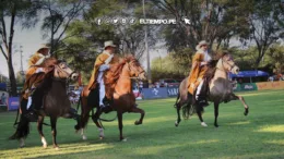 Piura en Fiesta: Celebrando su Aniversario con el XXXII Concurso Regional del Caballo Peruano de Paso Piura en Fiesta: Celebrando su Aniversario con el XXXII Concurso Regional del Caballo Peruano de Paso