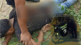 Valiente actuación policial frustra robo y deja delincuente herido en Talambo