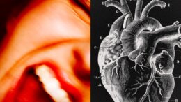 La Ira y el Corazón: Cómo un Estallido de Ira Puede Incrementar el Riesgo de Infarto La Ira y el Corazón: Cómo un Estallido de Ira Puede Incrementar el Riesgo de Infarto