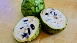 PEJEZA recibe visita de la Junta de Usuarios del Alto Jequetepeque: Chirimoya PEJEZA recibe visita de la Junta de Usuarios del Alto Jequetepeque: Chirimoya