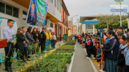 Pacasmayo se viste de verde