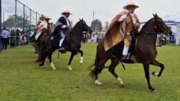 Caballo Peruano de Paso: Pimentel abre sus puertas Caballo Peruano de Paso: Pimentel abre sus puertas