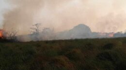 Incendio cerca de asilo en San Pedro Incendio cerca de asilo en San Pedro