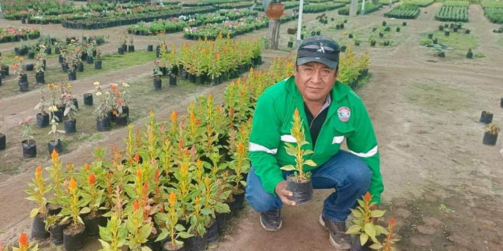 Chepén Recibe 2,000 Plantones para un Futuro Verde