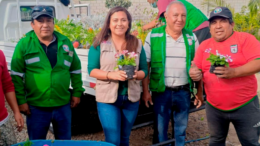 Plantones para Reverdecer Chepén: Un Futuro Sostenible