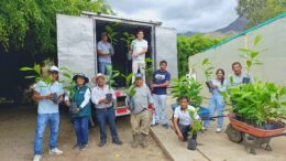 PEJEZA impulsa 3000 plantones en la cuenca del Jequetepeque