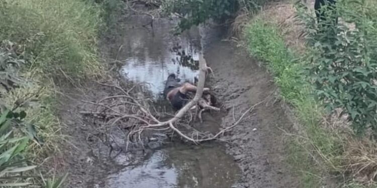 Crimen en Chepén: Asesinato de Colombiano Impacta Comuna