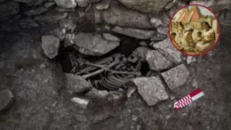 Descubrimiento Chachapoya en Perú: Estructura funeraria única