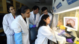 Avance científico: órganos cerebrales completos