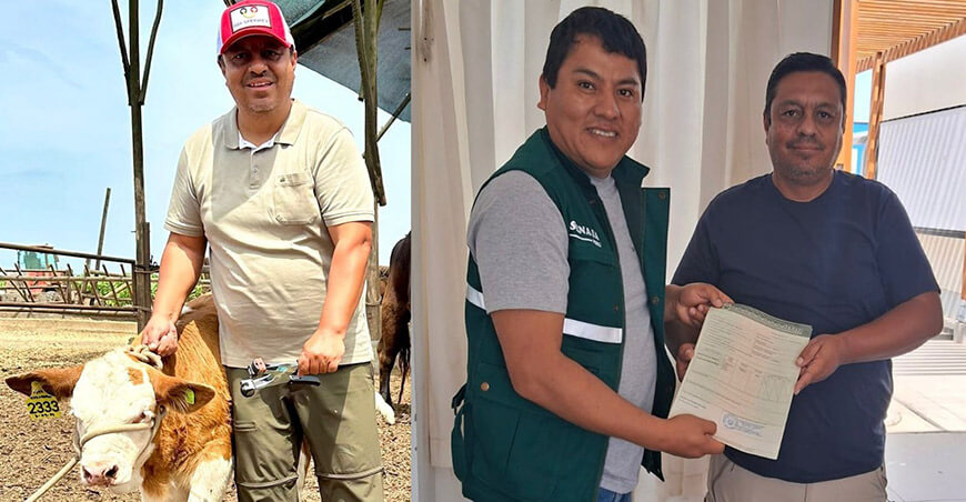 Pruebas Genéticas para el Ganado Fleckvieh en Perú