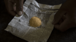 Ataque a guardias indígenas Wampis en Perú tras retirada de patrullas anti-minería