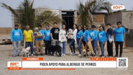 Pacasmayo: refugio pide ayuda para perros abandonados