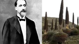 Antonio Raimondi: Sus Aportes a la Ciencia