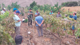 Agricultura en Libertad: Incremento de Siembras 2025-2026