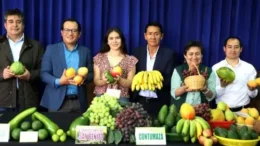 Feria Regional de la Fruta en Jequetepeque: productores locales y eventos