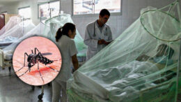 Dengue en La Libertad 2026: 47 Casos en el Primer Mes
