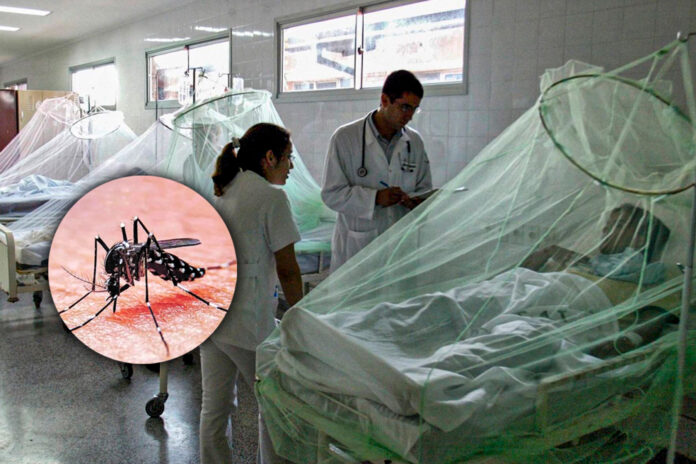 Dengue en La Libertad 2026: 47 Casos en el Primer Mes