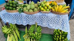 🍇🥑 Frutas de Magdalena Cajamarca: Riqueza Agrícola en Pacasmayo