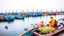 Plan de Manejo Costero: Sostenibilidad en 5 Millones de Hectáreas